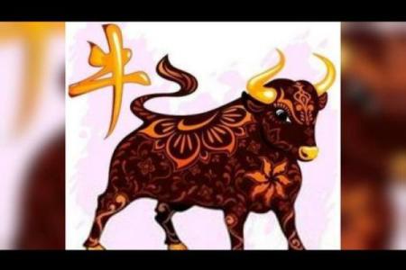 属牛农历十月初八出生的人命理解析与生活建议