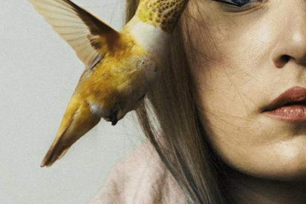 声音脆弱的女人：命运与力量的微妙交织