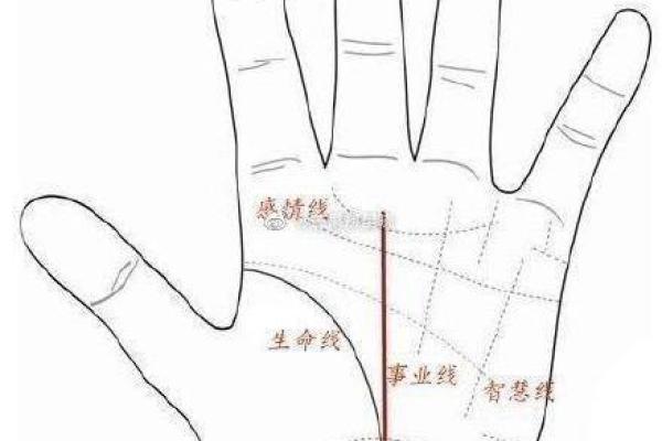 男手相三线不相交的命运解析:福祉与挑战并存的生活之路 男手相三线不相交的命运解析:福祉与挑战并存的生活之路