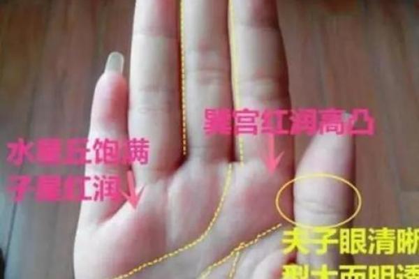 男手相三线不相交的命运解析:福祉与挑战并存的生活之路 男手相三线不相交的命运解析:福祉与挑战并存的生活之路