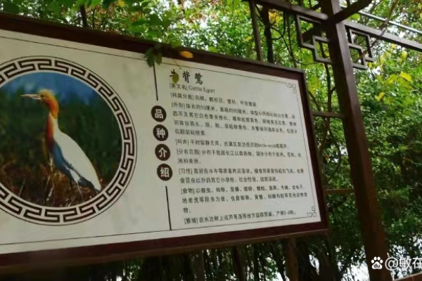 从“乔松栖鹤”看人与自然的和谐关系与精神追求