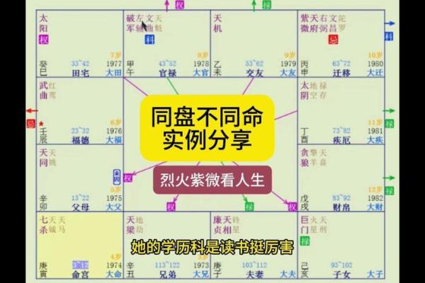 属阴命人适合的职业选择与发展路径探讨