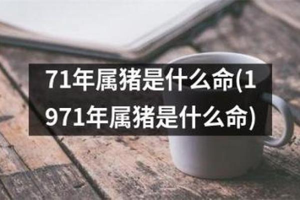 属猪人的善良心地：揭秘他们的命运与魅力