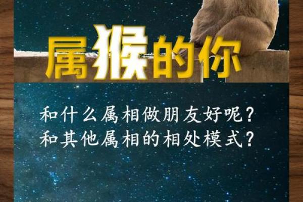 属猴金命与哪些命最为相配？揭秘最佳组合！