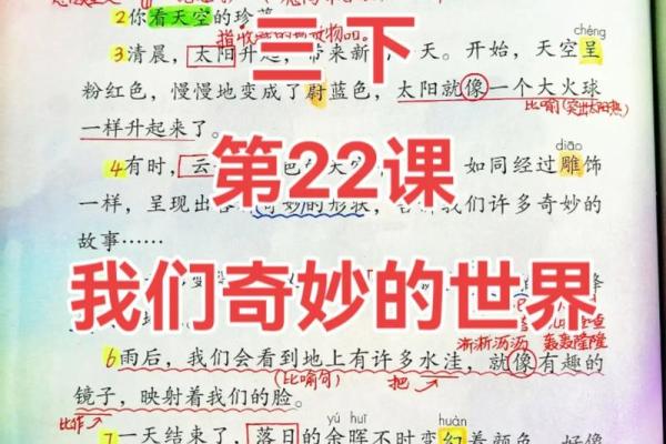 《童子命六官居一关:探秘命理中的奇妙世界》 《童子命六官居一关:探秘命理中的奇妙世界》