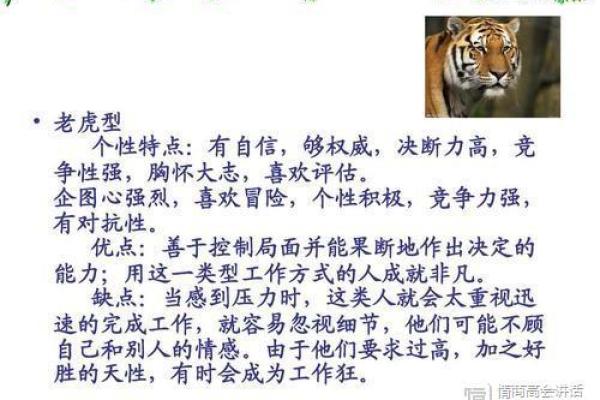 属虎的年份与命运:解密老虎的神秘力量与性格特征 属虎的年份与命运:解密老虎的神秘力量与性格特征