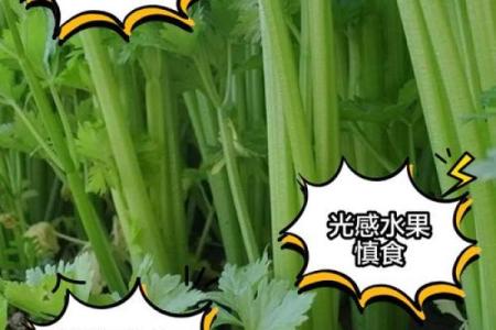 泉中水命的人该远离哪些食物？让我们来看看！