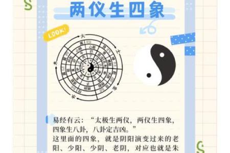 七点出生五行命理：揭开命运的神秘面纱