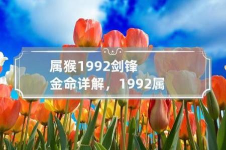 属猴金命与哪些命最为相配？揭秘最佳组合！