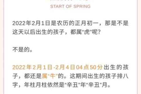 属虎的年份与命运：解密老虎的神秘力量与性格特征