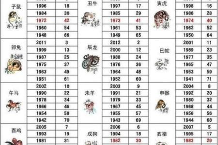 2024年什么生肖宝宝命格最好？探寻命理中的秘密！