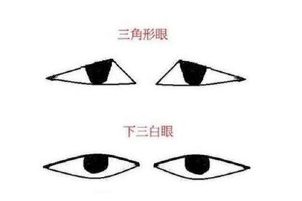 解密双金龙女命：她们的命运与特质大揭密