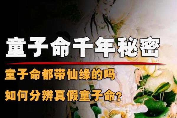 深度解析童子命:命理中的独特现象与灵性启示 深度解析童子命:命理中的独特现象与灵性启示