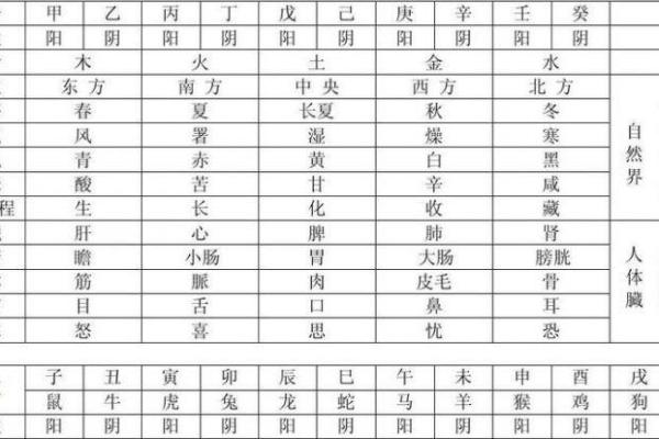 十二点半出生的五行命理分析与人生启示