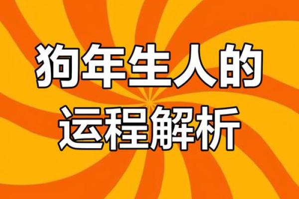 属狗的61岁运势分析：追寻幸福与机遇之路