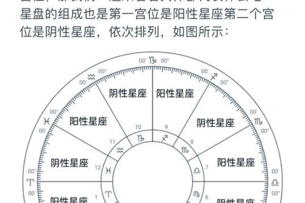能测出我是什么命吗?人生的命运解析与自我探索 能测出我是什么命吗?人生的命运解析与自我探索