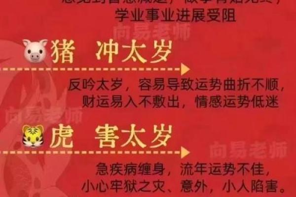 属狗太阳星照命的人，必定有这些幸福好事降临！