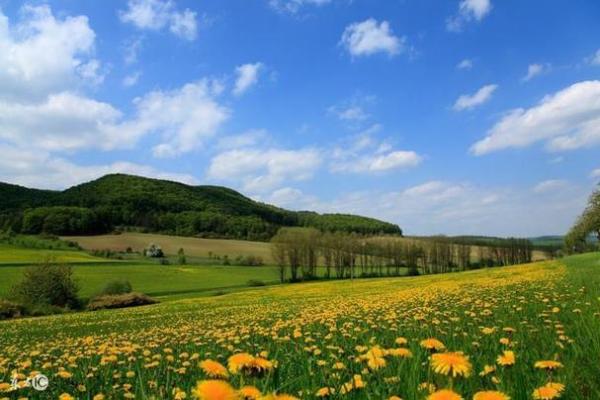 属狗钗钏金命:解密缺失与补救之道,助你走向辉煌人生! 属狗钗钏金命:解密缺失与补救之道,助你走向辉煌人生!