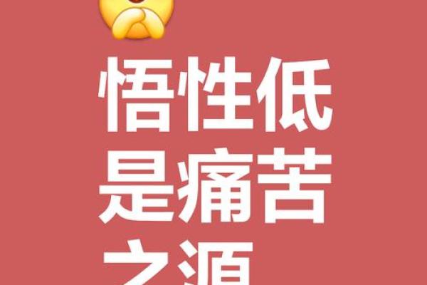 欠你一条命：生命的重量与责任的思考