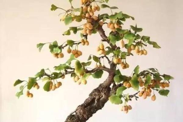 山头火命适合养哪些树？解锁五种最佳选择！