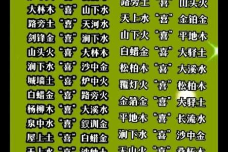 木命与火命的颜色背后：探寻五行的深层奥秘