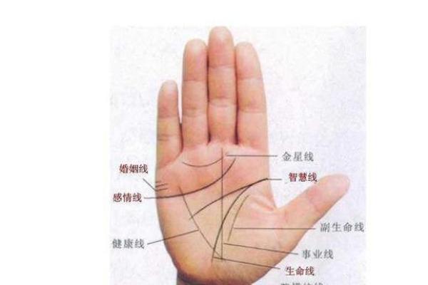 手相解析：掌心发黄的秘密与命运解析