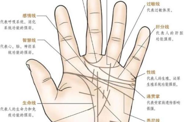 手相解析：掌心发黄的秘密与命运解析