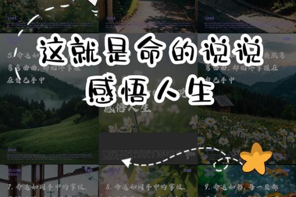 生下来什么命就是什么命：接受命运，成就自我人生之路