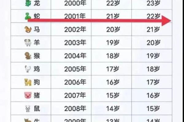 揭秘农历11月出生的蛇年命运与性格特点 揭秘农历11月出生的蛇年命运与性格特点