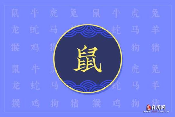 深入了解壬子日属鼠的命理特征与影响