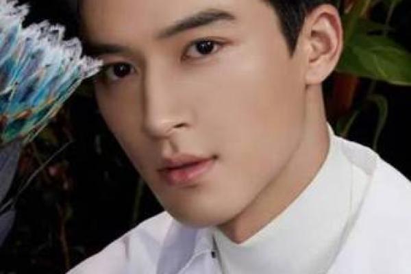 浓眉小耳的男人是一种什么样的命运?探秘其背后的故事与个性! 浓眉小耳的男人是一种什么样的命运?探秘其背后的故事与个性!