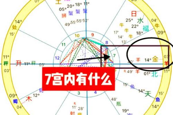 农历十月七日出生的人生命格解析:解密命运与性格的奇妙关系 农历十月七日出生的人生命格解析:解密命运与性格的奇妙关系