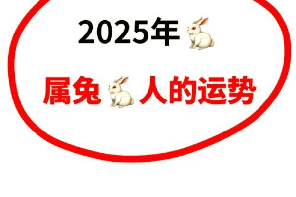属兔人在2021年应如何掌握命运与运势，迎接新挑战？
