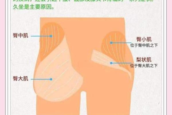 解读：屁股上的胎记与命运之间的神秘关联