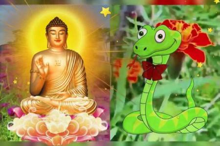 蛇命理解析：只有懂得蛇命格男人，才能真正赢得他们的心！