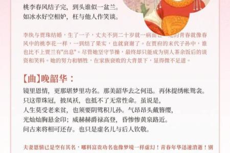 十二金钗究竟是什么仙子命的揭示与探索