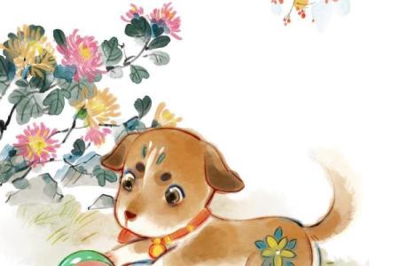 生肖狗过了40岁，命运转折与生活智慧