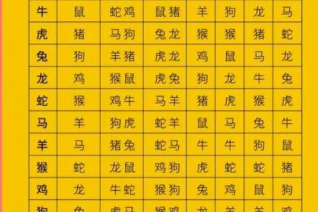 生肖马在12月的运势解析与命理特征