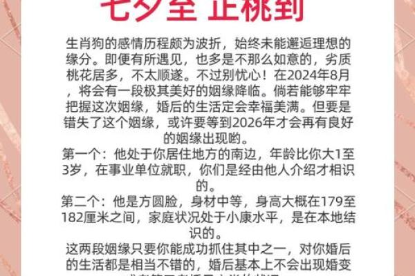 女人生狗,注定命运如何?解密生肖与女性的缘分 女人生狗,注定命运如何?解密生肖与女性的缘分