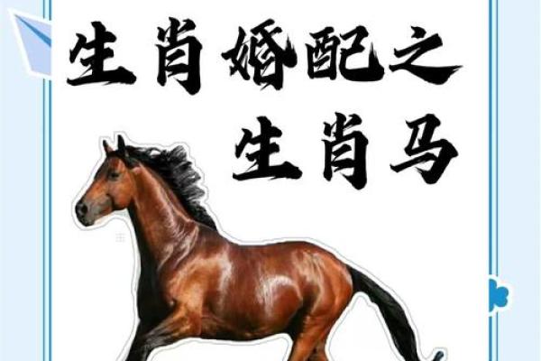 69岁属马人的命运与人生智慧探讨