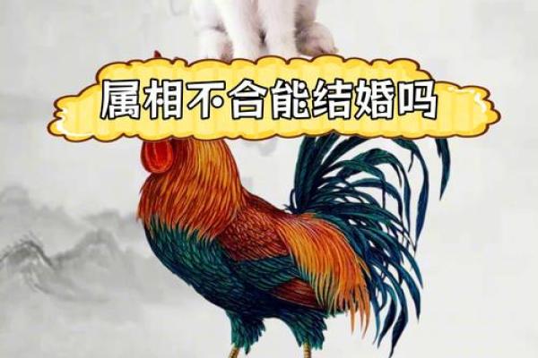 属鸡命与哪种命最为婚配？探讨鸡年人的爱情与配对