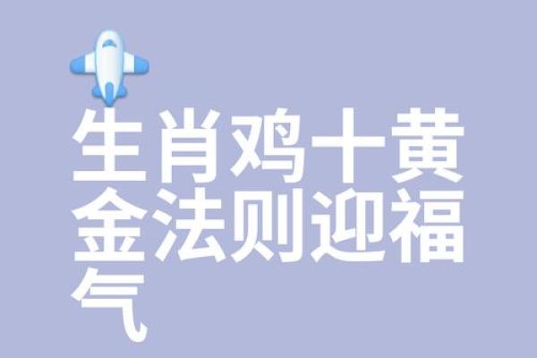 生肖鸡福运分析：41岁后的命运走向与生活智慧