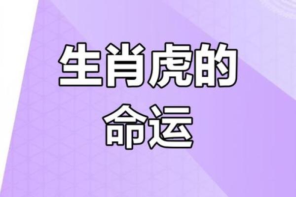属虎人:在17年需注意的命理与运势提升之道 属虎人:在17年需注意的命理与运势提升之道