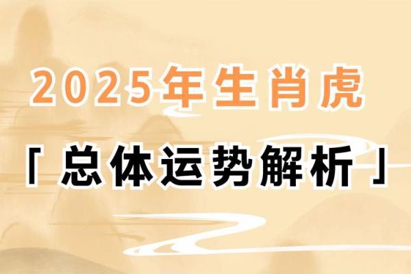 属虎人:在17年需注意的命理与运势提升之道 属虎人:在17年需注意的命理与运势提升之道