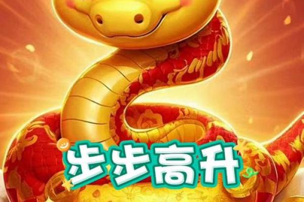 深入了解属蛇人45岁的人生命运与性格特征 深入了解属蛇人45岁的人生命运与性格特征