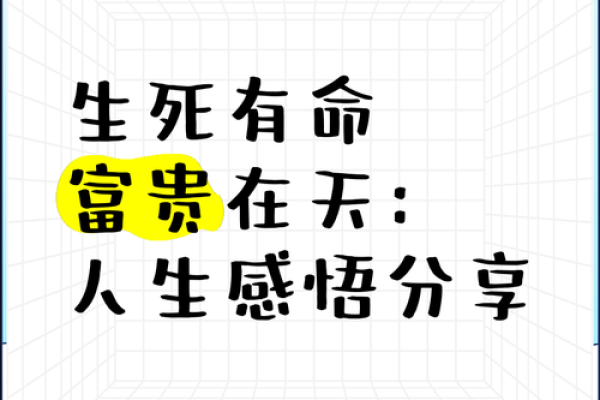 什么样的命运才算富贵命：探索人生的不同层次与定义