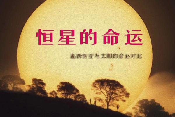 十点钟出生的太阳：揭开命运的神秘面纱