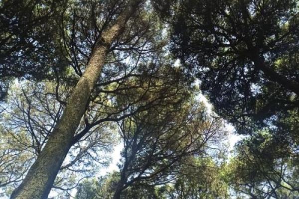 山涧水命的命理深度解析,遇到哪些命运会心烦意乱? 山涧水命的命理深度解析,遇到哪些命运会心烦意乱?