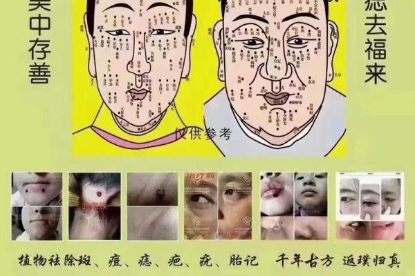 三命女人的命理解析：揭示生活中的风水与命运密切关系