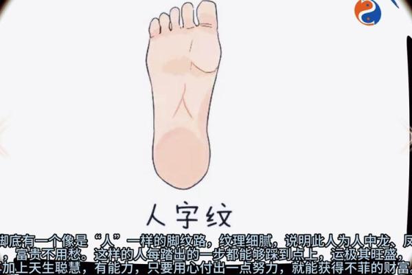 揭秘脚型与富贵命:如何通过脚型判断财富运势? 揭秘脚型与富贵命:如何通过脚型判断财富运势?